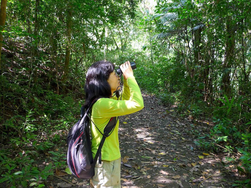 Gamboa Rainforest Reserve Ngoại thất bức ảnh